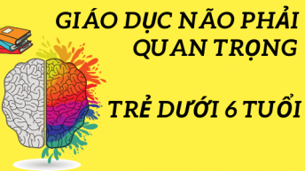giáo dục não phải trẻ dưới 6 tuổi