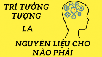 Trí tưởng tượng